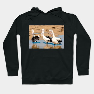 Australians Pod of Pelicans Hoodie